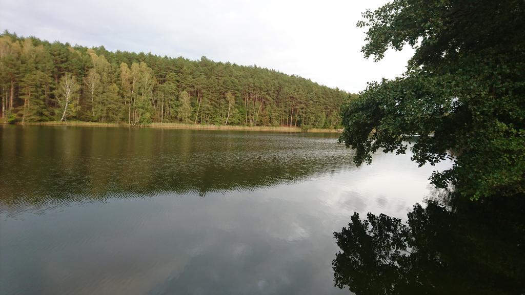 Fitnessfun Bed & Breakfast Krzyz Wielkopolski ภายนอก รูปภาพ