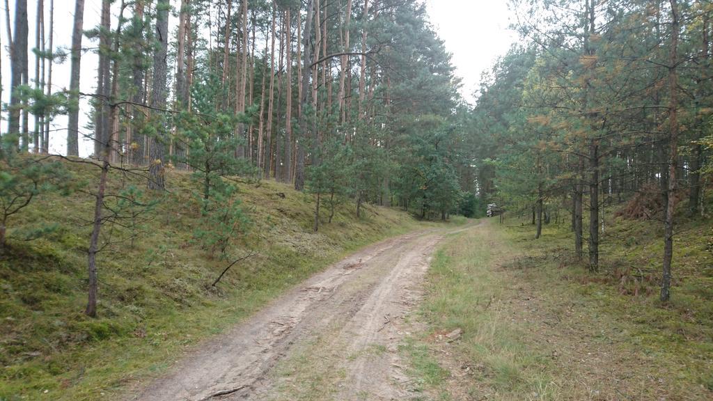 Fitnessfun Bed & Breakfast Krzyz Wielkopolski ภายนอก รูปภาพ